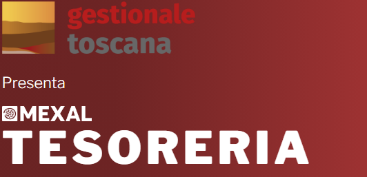 suite-tesoreria-per-mexal