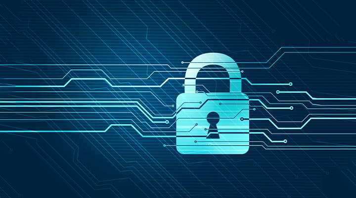 immagine-sicurezza-informatica
